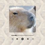 Open the source of the capybara song